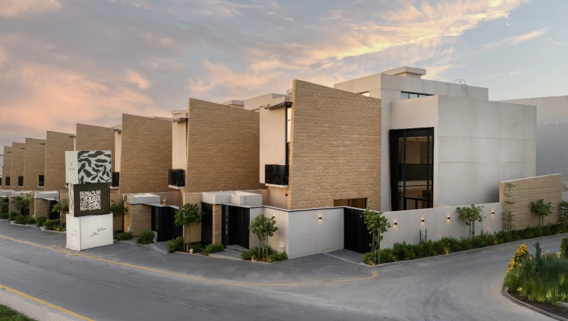 دافوديل بلس - صورة 1