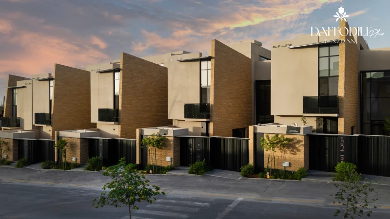 دافوديل بلس - صورة 7