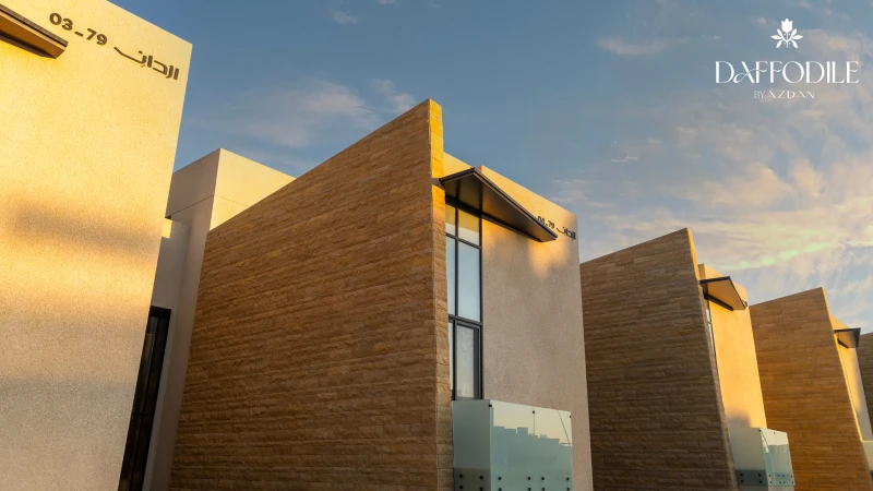 دافوديل - مشروع