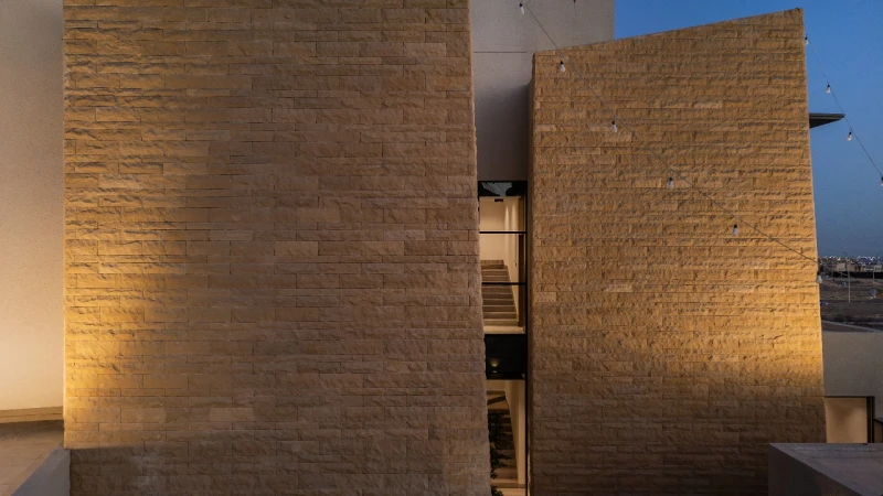 دافوديل - صورة 7