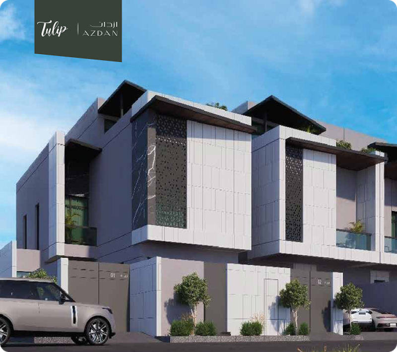 توليب - مشروع